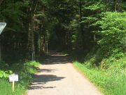IMG_1746.JPG