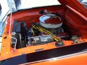 bild0258.jpg