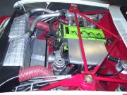 capri_speyer_2007_004.jpg